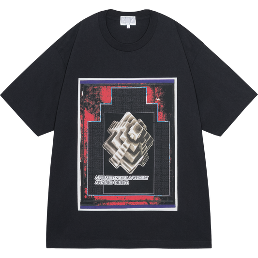 AS 2D3Pursuit T